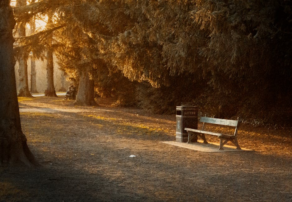 A deserted park pathway at sunset with tall evergreen trees lining both sides, their branches casting long shadows on the ground. A wooden park bench faces the pathway on the right, positioned on a small paved area, adjacent to a cylindrical litter bin marked 'LITTER.' The pathway appears to be gravel or dirt, with a few scattered pieces of litter, leading into a peaceful, shaded environment. The warm golden light filters through the trees, creating a calm atmosphere suitable for leisurely walks or outdoor relaxation. This scene showcases the natural setting typical of urban parks like Raphael Park, often accessed during home relocations or property visits. Man with Van Hornchurch offers services related to walking access and logistical support for house removals, including navigating outdoor spaces such as this during furniture transport or packing and moving activities. The setting emphasizes the importance of clear pathways and accessible areas in residential and communal outdoor environments.